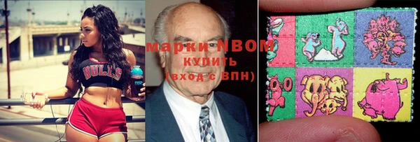 мдпв Пестово