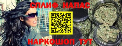 гидра Камышлов