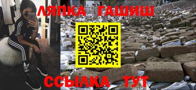 гидра Камышлов