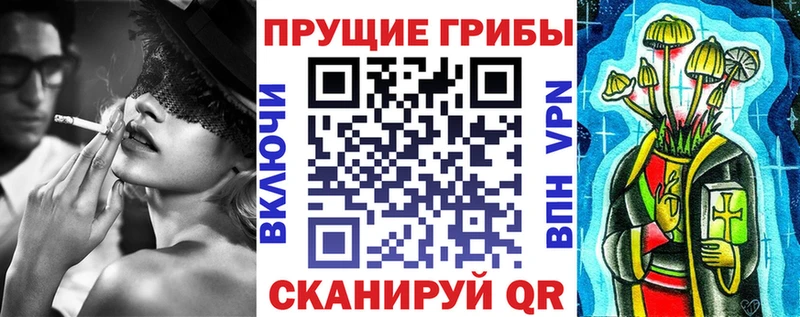 где продают   Пыть-Ях  Псилоцибиновые грибы ЛСД 
