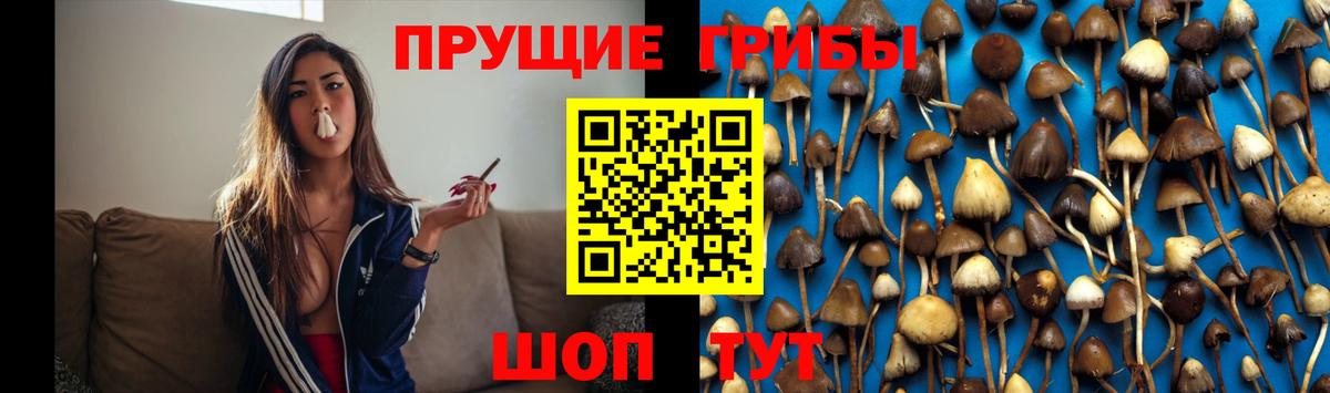 Псилоцибиновые грибы мухоморы Пыть-Ях