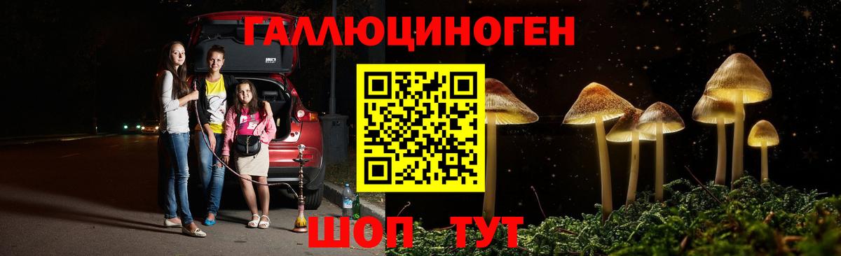 Псилоцибиновые грибы GOLDEN TEACHER Пыть-Ях