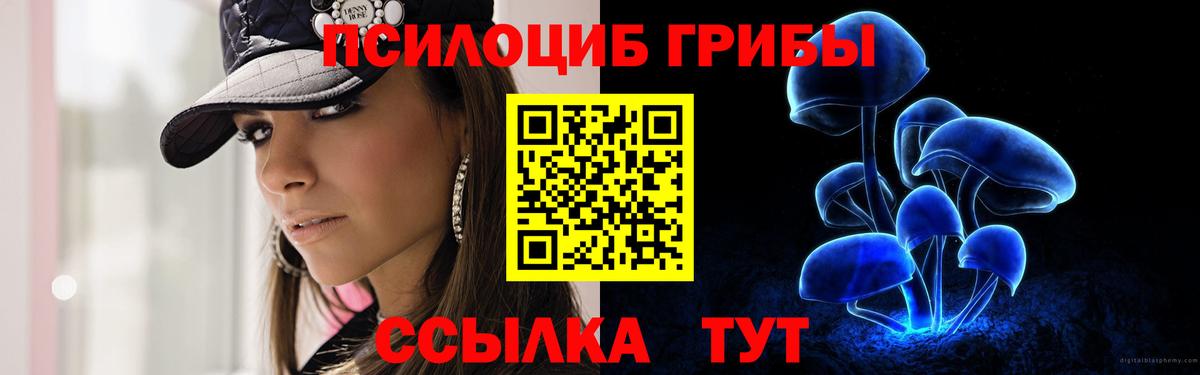 где купить наркоту  Псилоцибиновые грибы Magic Shrooms  Вход с VPN  Пыть-Ях 